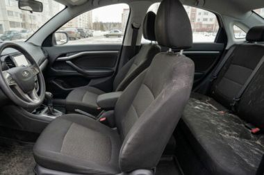 Как убрать шерсть животных из салона автомобиля быстро и эффективно